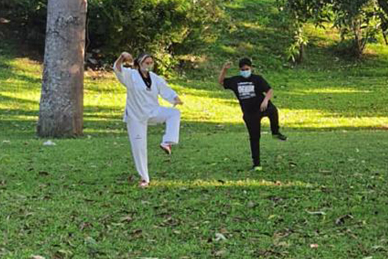 Brush Knee & Twist Step 1 Tai Chi brush knee and twist step